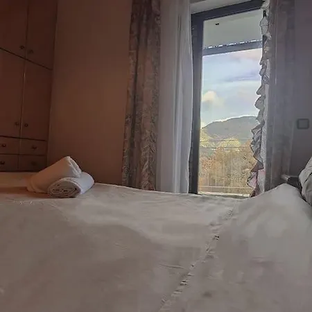 Serenity Traditional House