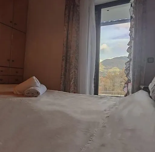 Serenity Traditional House